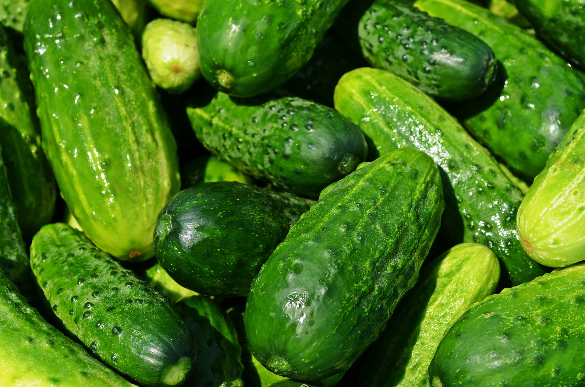 Spacemaster – Cucumber
