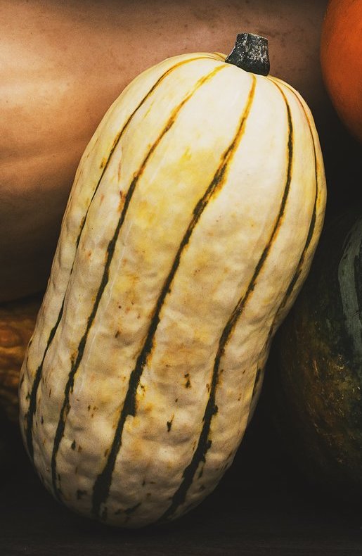 Delicata “Honey Boat” – Winter Squash