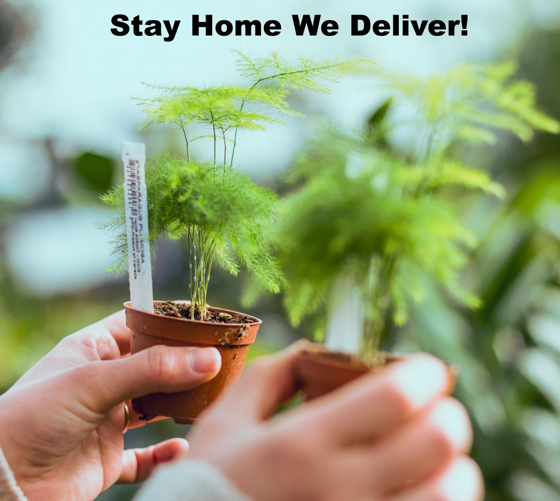 San Francisco Home Delivery