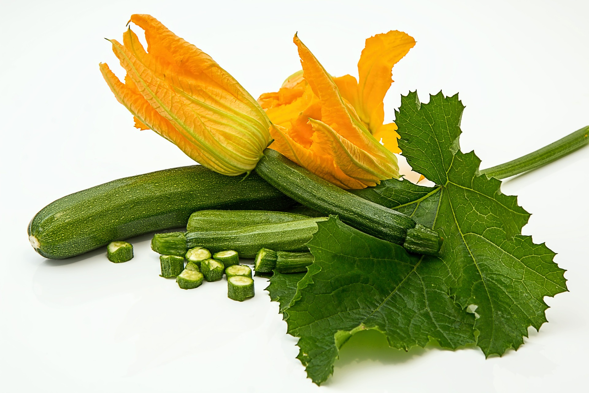 Emerald Delight – Summer Squash Zucchini