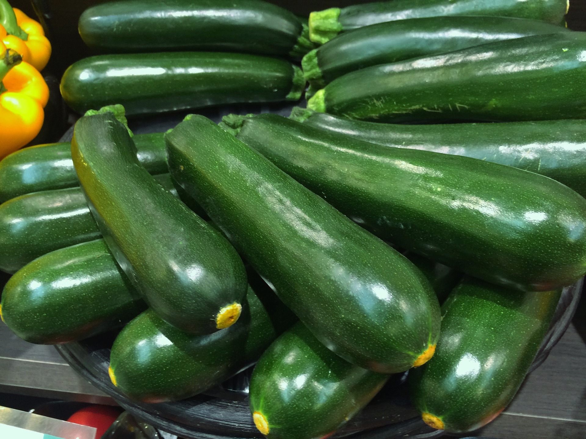 Black Beauty – Summer Squash Zucchini