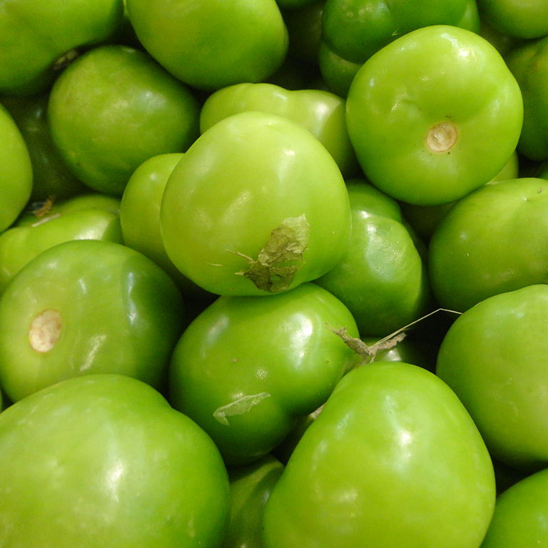 Toma Verde Tomatillos – Green Tomato (2″ pot)