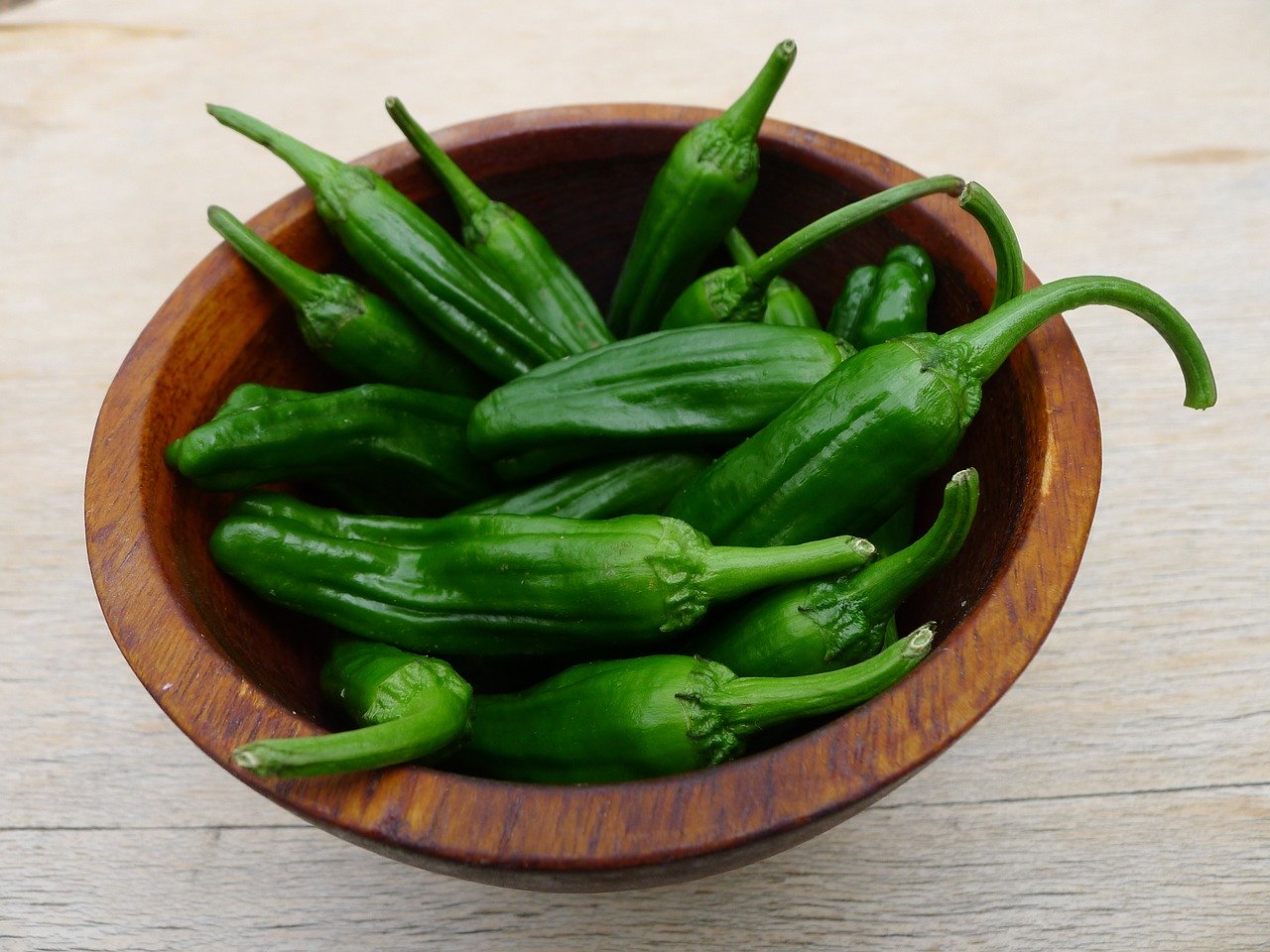 Shishito Peper – (2″ pot)