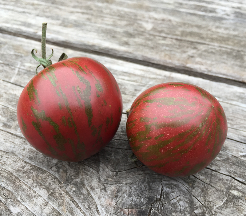 Black Vernissage  Tomato
