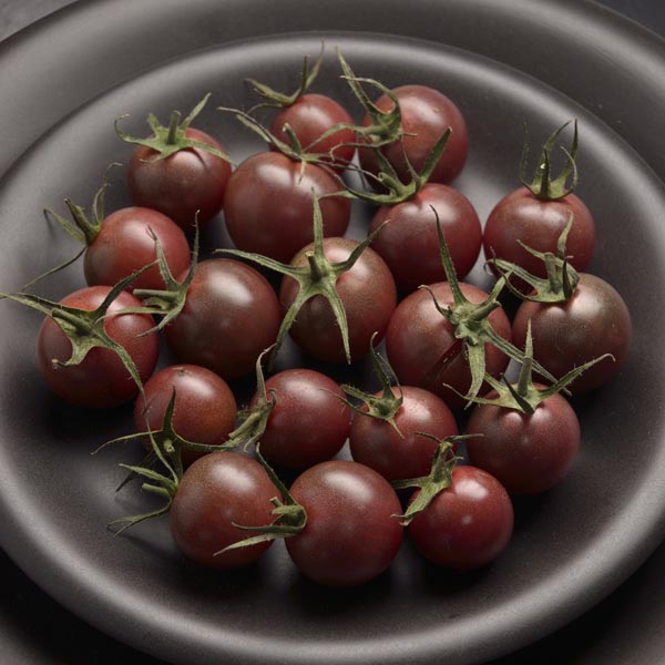 Chocolate Cherry Tomato