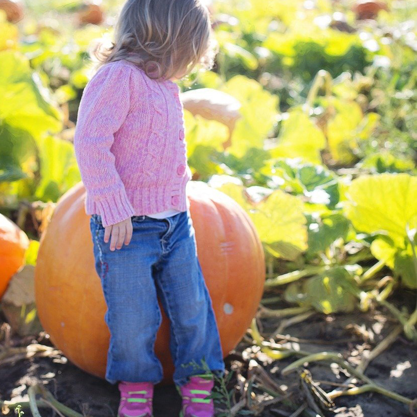 Pumpkin – Big Max